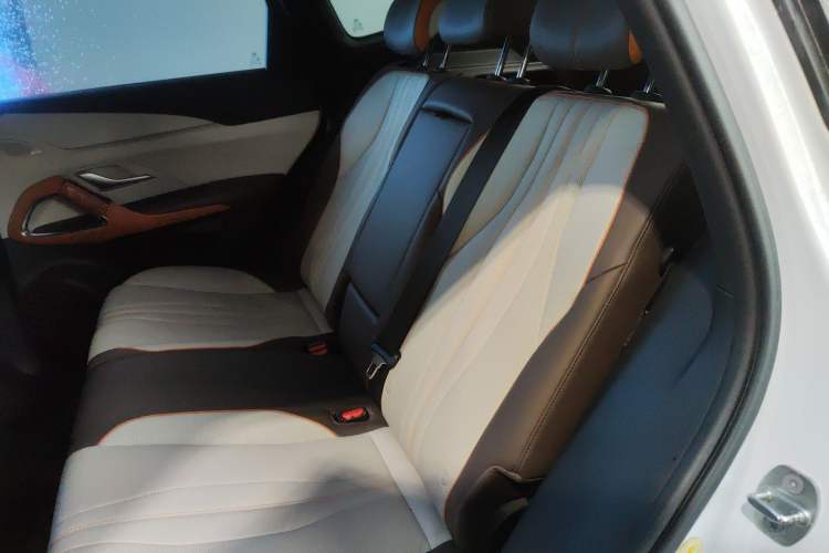 Used BYD Song Pro New Energy 2022 DM-i 110km Flagship Pro Model Left Rear Seat