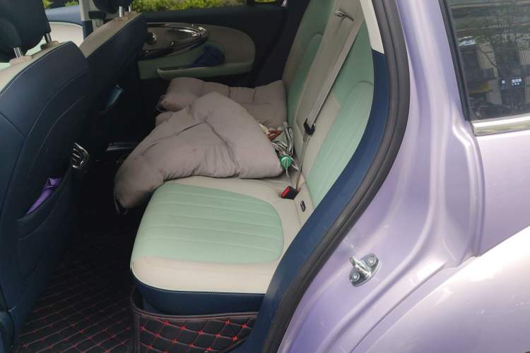 Used ORA Ballet Cat 2022 401 km Nutcracker Edition Left Rear Seat