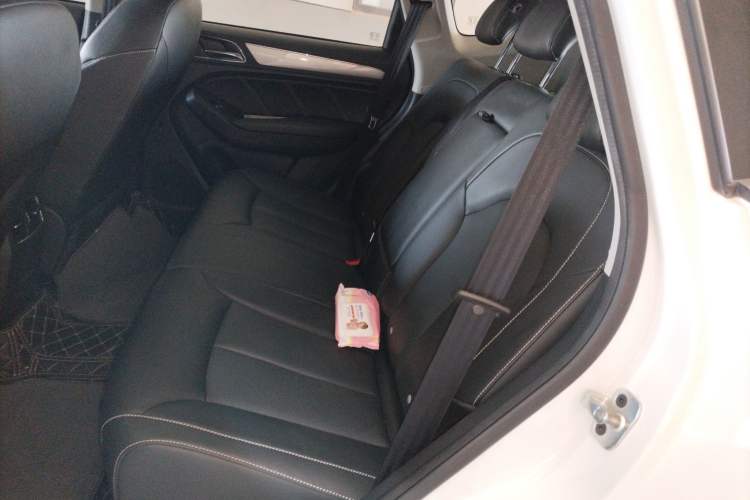 Used Roewe RX5 2020 20T Automatic 4G Connected Million Edition Left Rear Seat