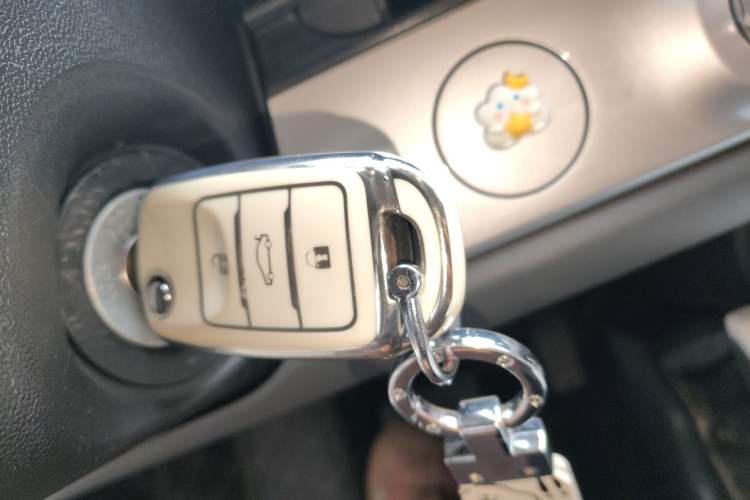 Used CHANGAN NEVO Lumin 2024 130km Qingyue Version Vehicle Key