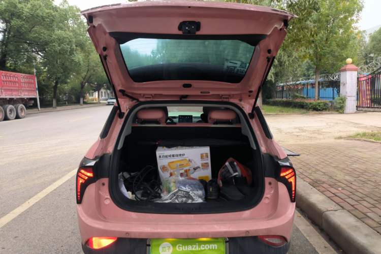 Used NETA V 2021 Witch Edition