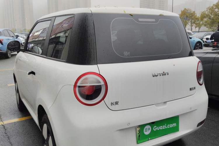 Used CHANGAN NEVO Lumin 2023 205km Xiangqin Version