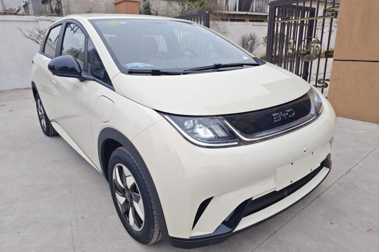 Used BYD Dolphin 2025 420km Free Edition