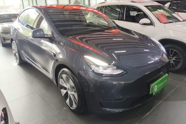 Used Tesla Model Y 2021 Standard Range Rear-Wheel Drive Version Exterior 1