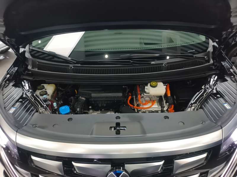 Used Denza D9 2022 DM-i 970 Four-Wheel Drive Flagship Model — 19