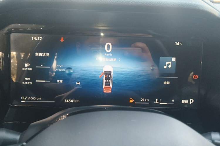 Used Geely Auto Monjaro L 2024 2.0TD DCT EVO Two-Wheel Drive Long-Range Version
