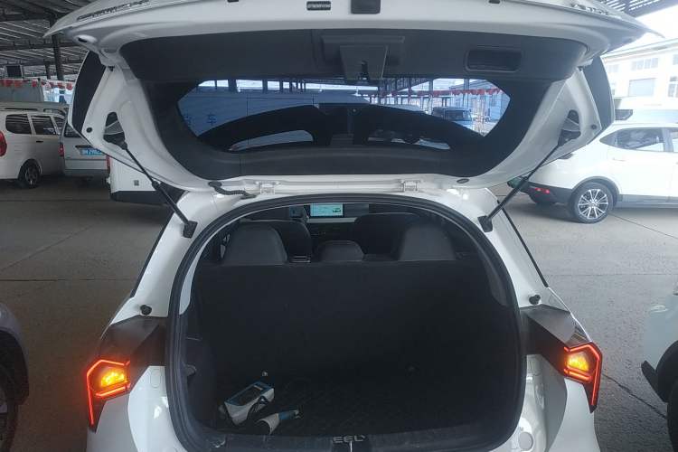 Used Geometry E Firefly 2024 401 km Fluorescent Trunk