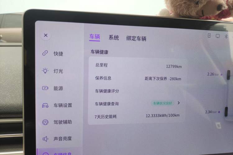 Used Dongfeng NAMMI 01 2024 430 Max
