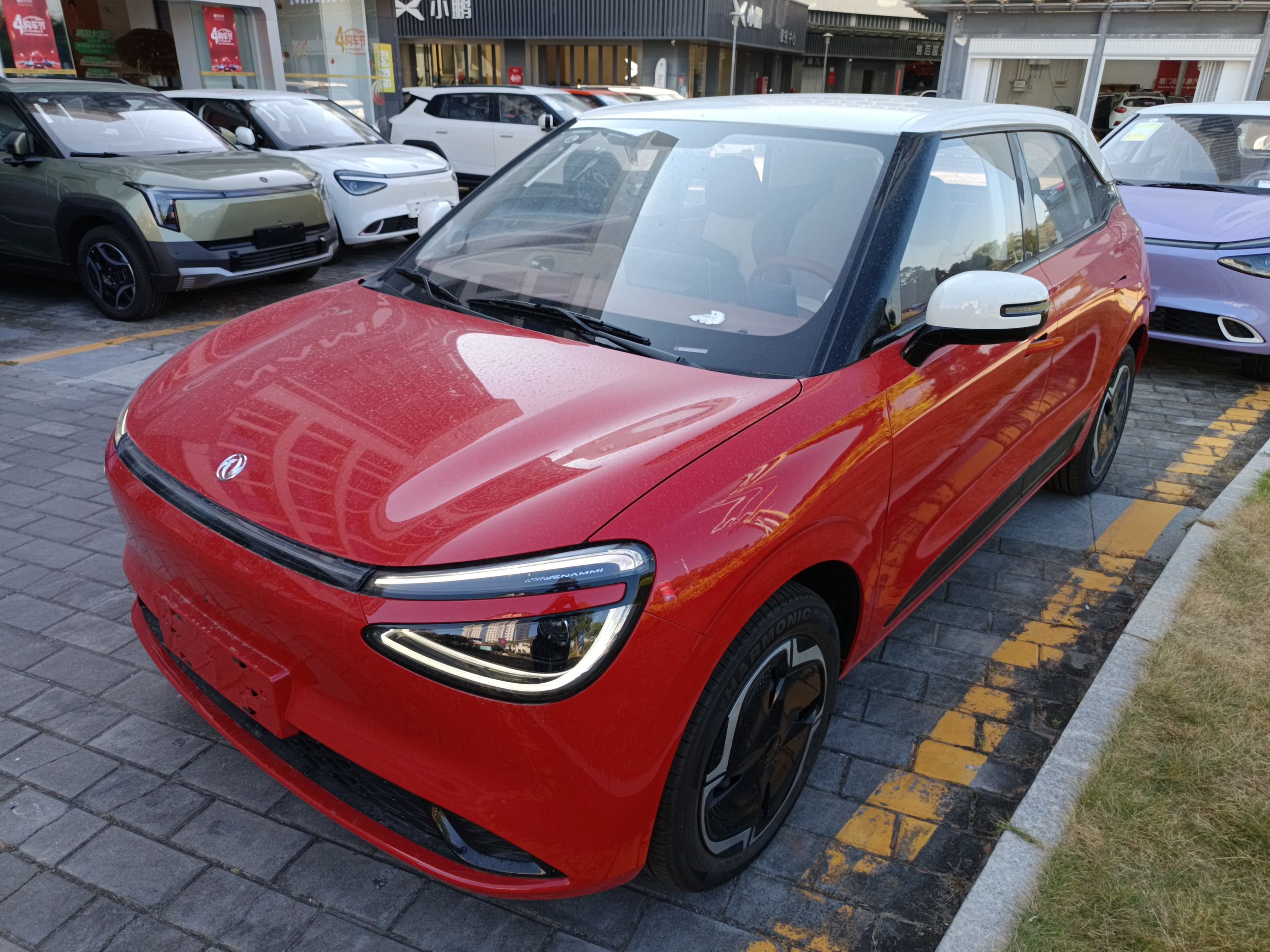 تحت مقدمة السيارة