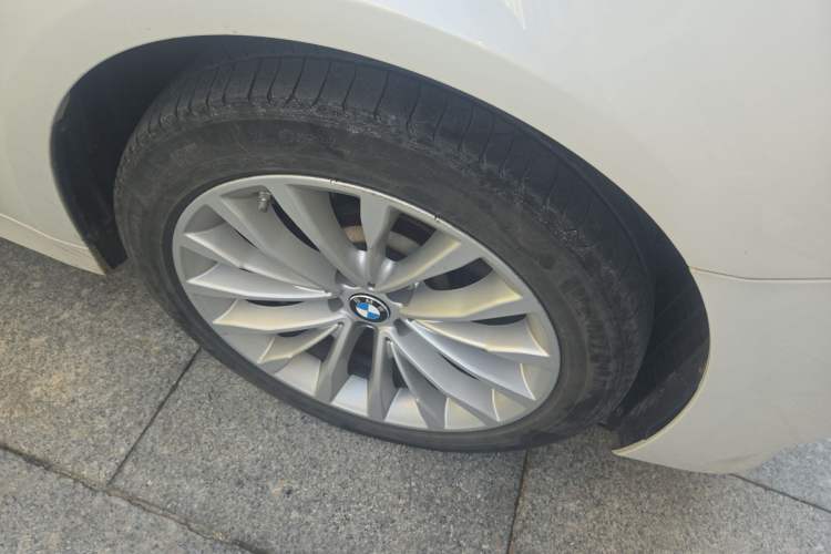 Used BMW 5 Series New Energy 2020 530Le Luxury Package
