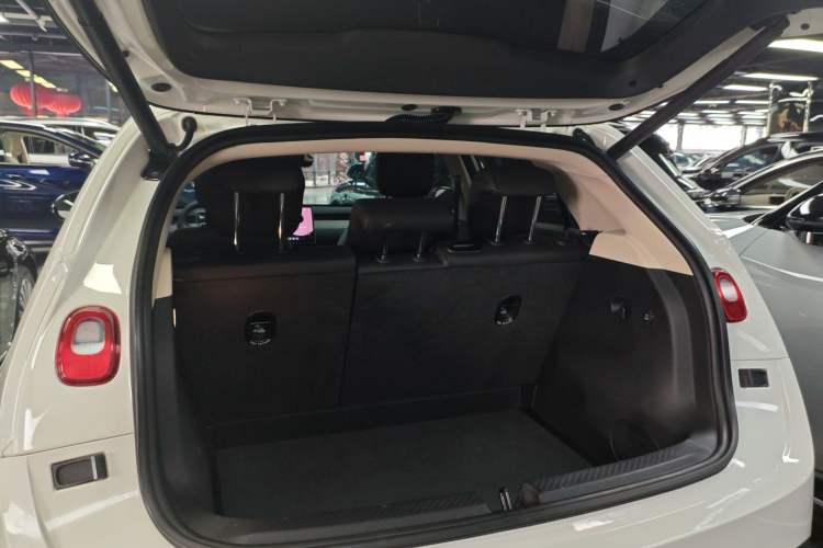 Used firefly firefly 2025 Illuminated Edition