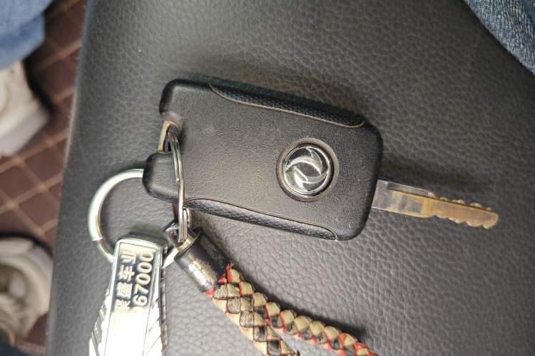 Used Dongfeng Palazzo 2021 1.8T Manual Two-Wheel Drive Elite Edition