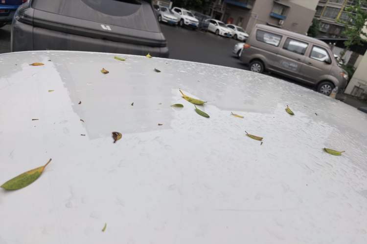 Used Volkswagen Lavida 2019 Lavida Start 1.5L Automatic Trendy Version China VI Standard
