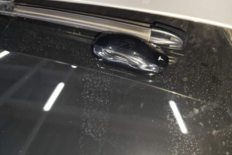 Used Tesla Model X 2020 Long-Range Upgrade Version