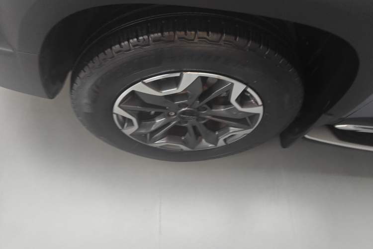 Used Haval DARGO 2021 2.0T DCT 4x4 Chinese Rural Dog Edition