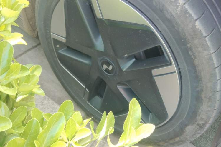 Used ONVO L60 2024 60 kWh Rear-Drive Version
