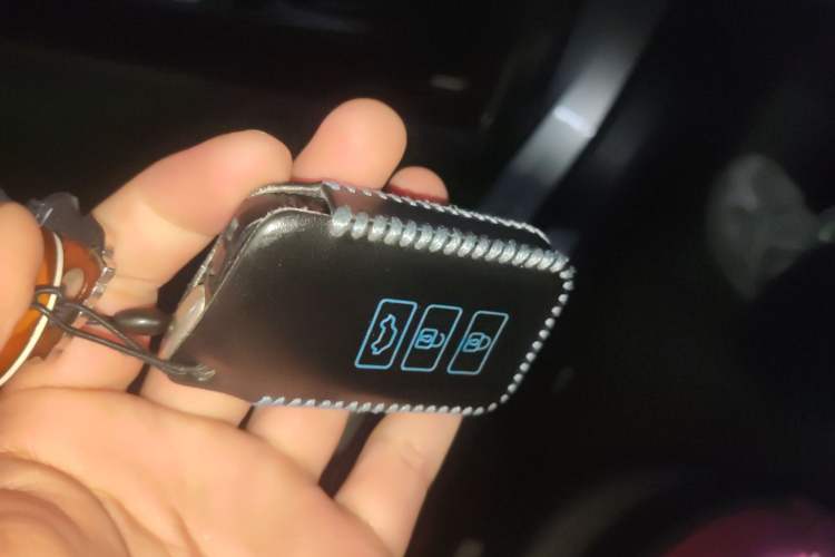 Used Lexus NX 2020 200 Front-Wheel Drive Freeline Edition China VI Standard Vehicle Key