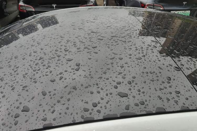 Used Tesla Model 3 2022 Rear-Wheel-Drive Version Roof