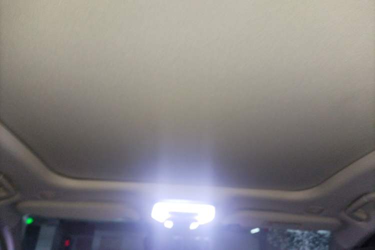 Used Hongqi H9 2020 3.0T Smart Connect Flagship Edition Headliner