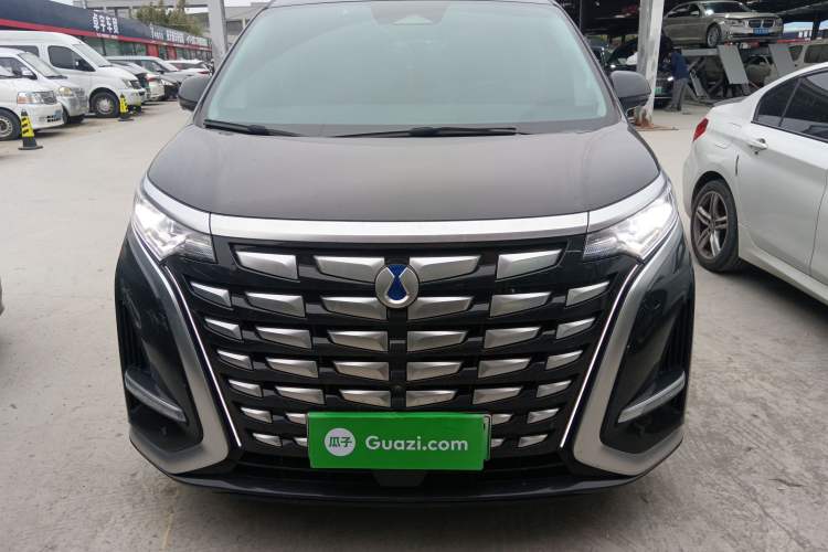 Used Denza D9 2024 DM-i 980 Four-Wheel Drive Flagship Model Front