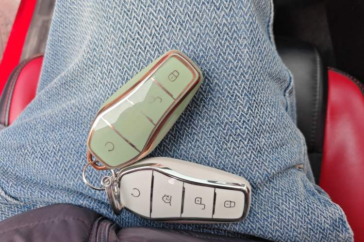 Used BYD e2 2021 Deluxe Model Vehicle Key