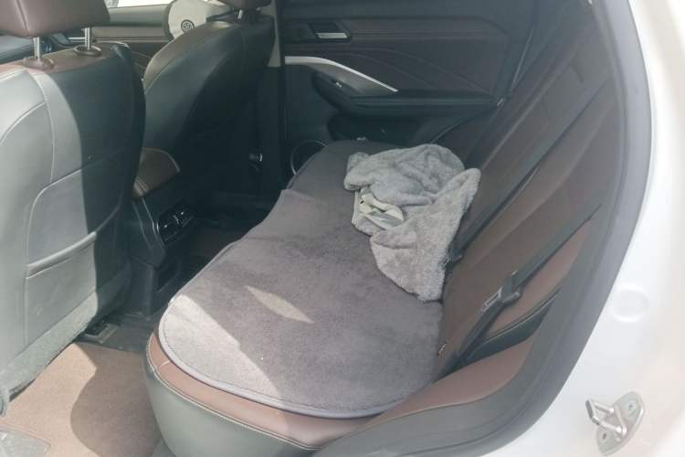 Used Wey VV6 2020 2.0T Two-Wheel Drive Smart Protection+