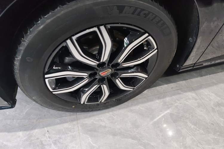 Used Hongqi HQ9 2023 2.0T Smart Connect Flagship Edition