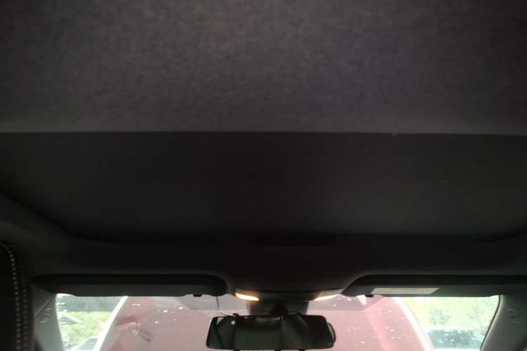 Used Toyota Levin 2019 185T CVT Luxury Edition China VI Standard
