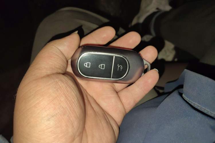 Used Leapmotor C11 2023 Pure Electric 500 Comfort Edition Vehicle Key