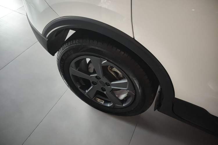 Used Geometry E 2022 320KM Cute Tiger 5-Seater
