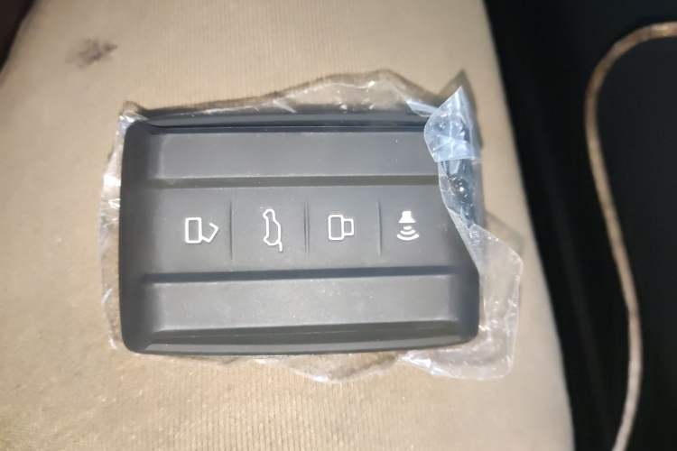 Used Tank 400 2025 2.0T Gasoline Version