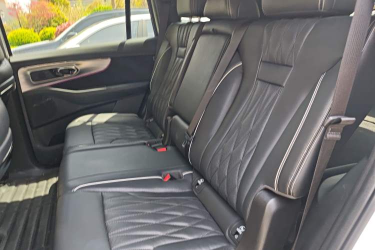 Used GAC Trumpchi GS8 2022 Dual-Engine Series 2.0TM Two-Wheel Drive Prestige Edition (7 Seats) Left Rear Seat