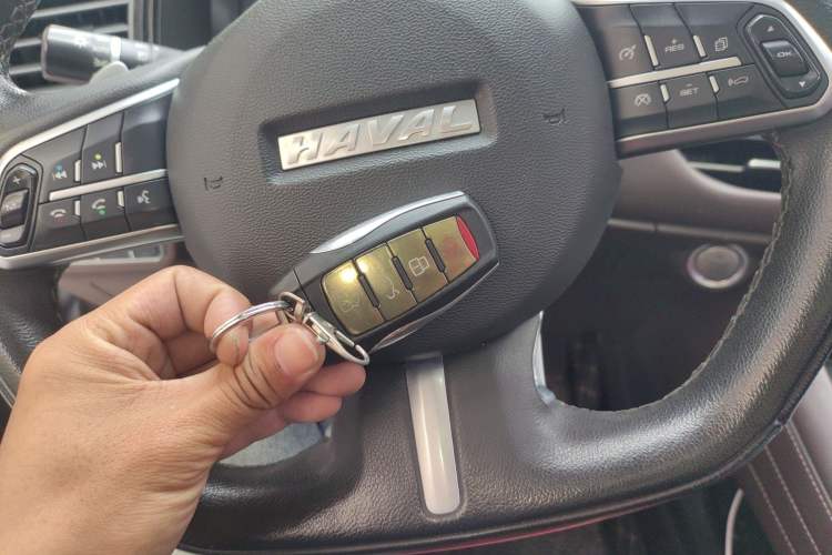 Used Haval F7 2020 2.0T Two-Wheel Drive i-Van