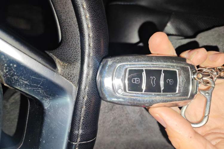 Used Geely Auto Emgrand New Energy 2018 EV450 Ambition Model
