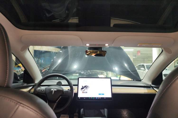 Used Tesla Model 3 2021 Performance High-Performance All-Wheel-Drive Version Headliner