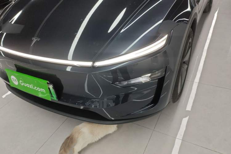 Used Tesla Model Y 2025 Long-Range All-Wheel Drive First Edition