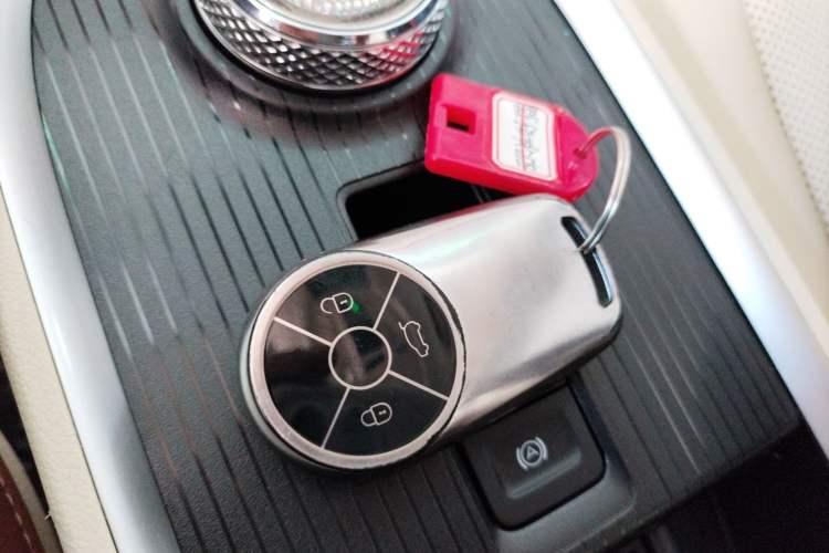 Used ORA Good Cat 2022 Morandi Edition 400km Standard Range Premium Version Lithium Iron Phosphate
