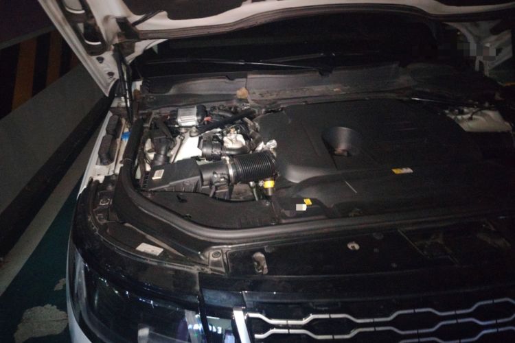 Used Land Rover Range 2020 3.0 L6 Long-Wheelbase Legacy

