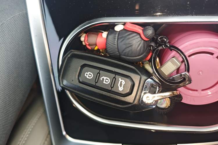 Used Ford Territory EV 2020 YAO LING Model