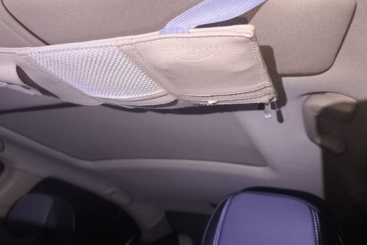 Used Honda Accord 2010 2.4L Millionth Anniversary Edition Headliner
