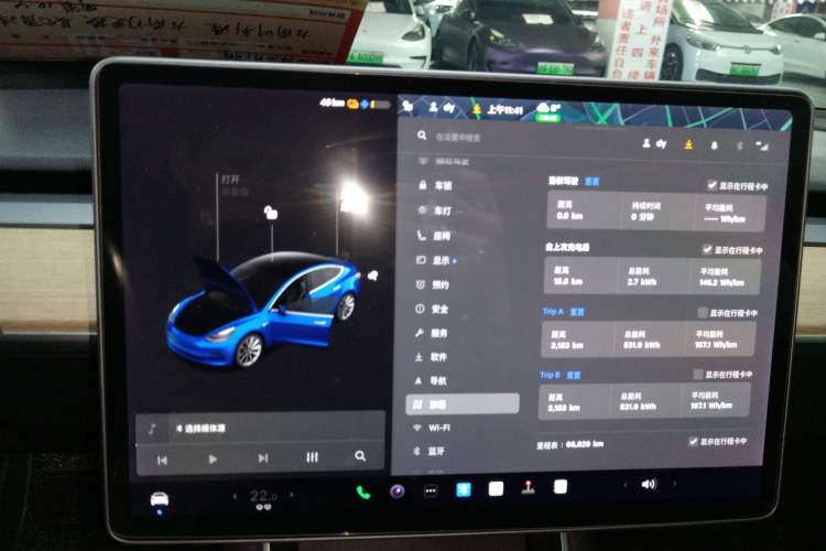 Used Tesla Model 3 (Import) 2019 Long-Range Rear-Wheel-Drive Version
