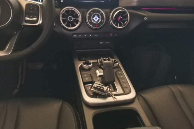 Used Tank 300 2024 2.0T Conqueror