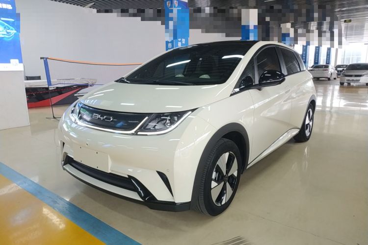 Used BYD Dolphin 2023 420 km Fashion Edition