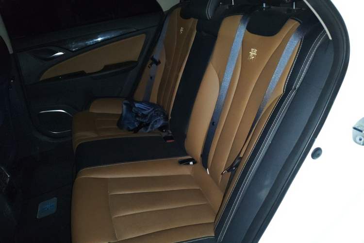 Used BYD Qin New Energy 2017 1.5T Luxury Model