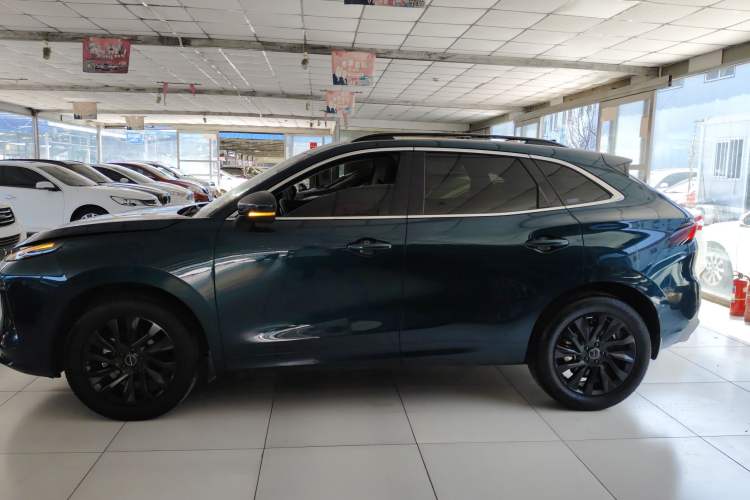 Used FORTHING T5 EVO 2021 1.5TD DCT Diamond Edition Left Side