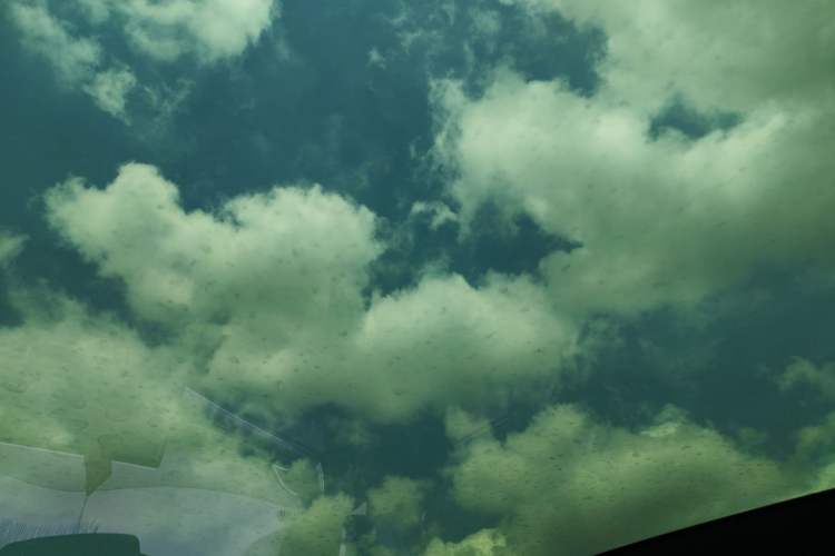 Used BYD Seal 2023 Champion Edition 550km Elite Model Headliner