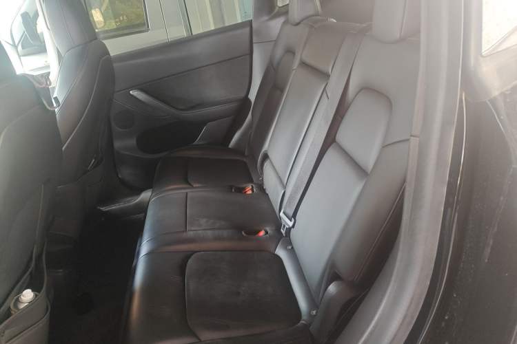 Used Tesla Model Y 2021 Standard Range Rear-Wheel Drive Version
