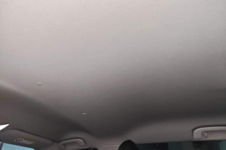 Used Toyota Wildlander 2024 2.0L CVT Two-Wheel Drive Leading Edition Headliner