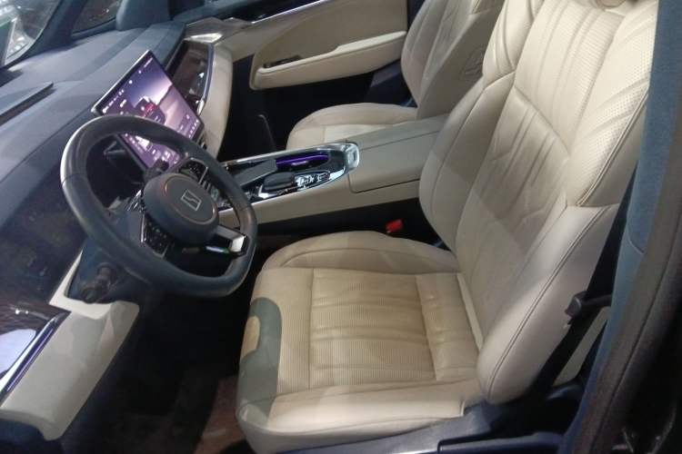 Used Zeekr 009 2022 WE Edition Left Front Seat