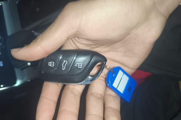 Used Roewe RX5 2020 PLUS 300TGI Automatic Ali National Trend Flagship Edition
